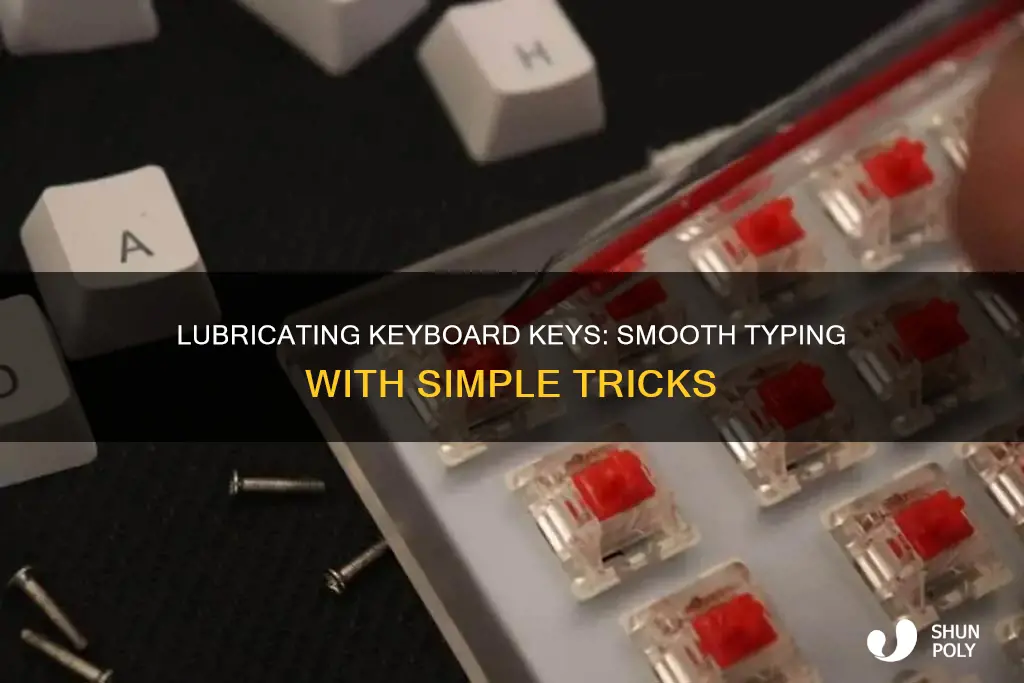 how do i lubricate keyboard key plastic