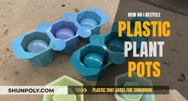 Recycle Plastic Plant Pots: A Guide to Reuse and Reduce