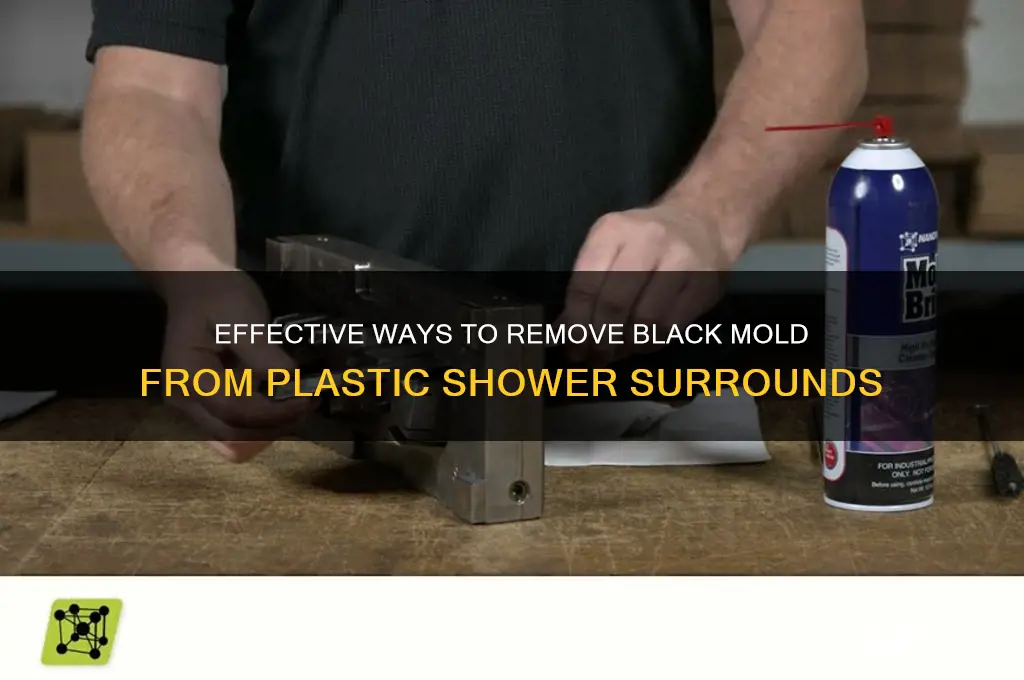 how do i remove black mold from plastic shower suround