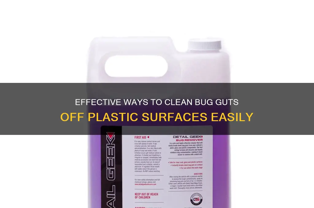 how do i remove bug guts from plastic