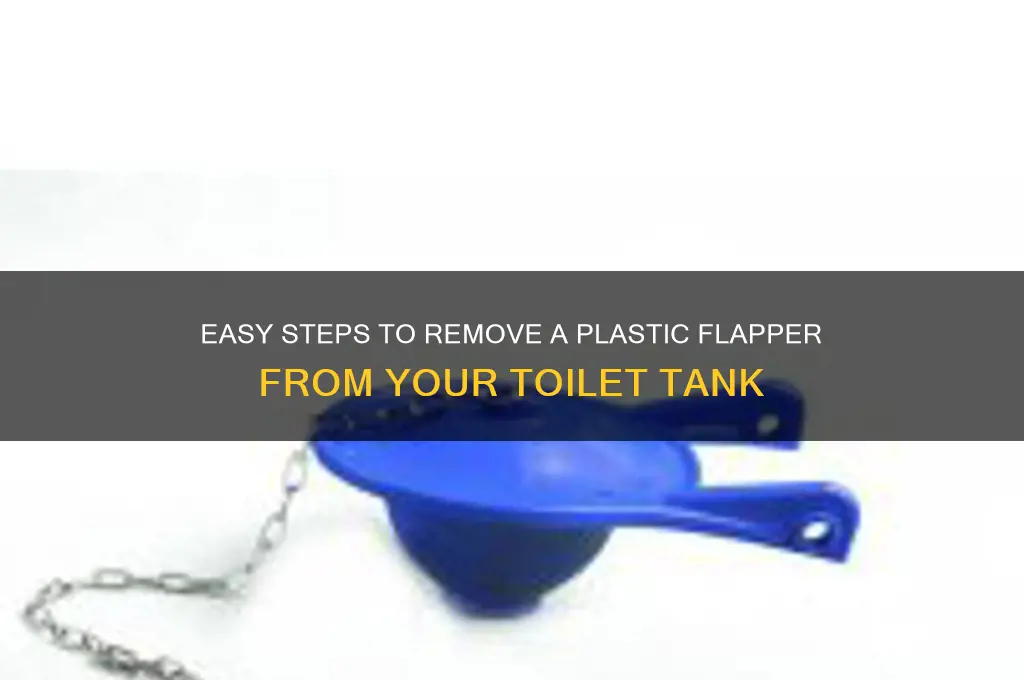 how do i remove the plastic flapper