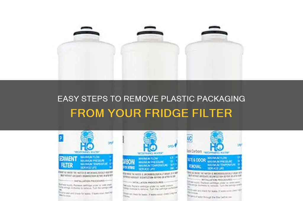 how do i remove the plastic packaging refrigerator filter