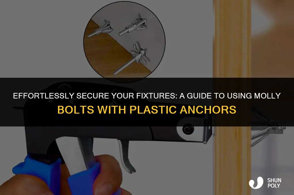 how do i screw in molly bolts with plastic anchors