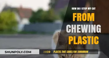 Eco-Friendly Feline: How to Curb Your Cat's Plastic Chewing Habit