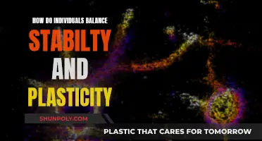 Stability and Plasticity: Achieving Balance in Life