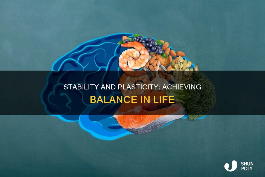 how do individuals balance stabilty and plasticity