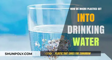 Microplastics in Drinking Water: Sources, Pathways, and Prevention Strategies