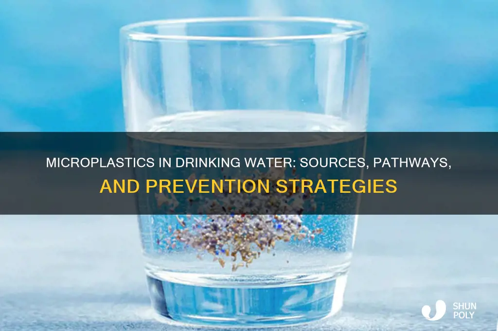 how do micro plastics get into drinking water