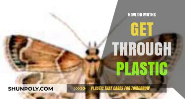 Moths' Surprising Ability to Penetrate Plastic: Unraveling the Mystery