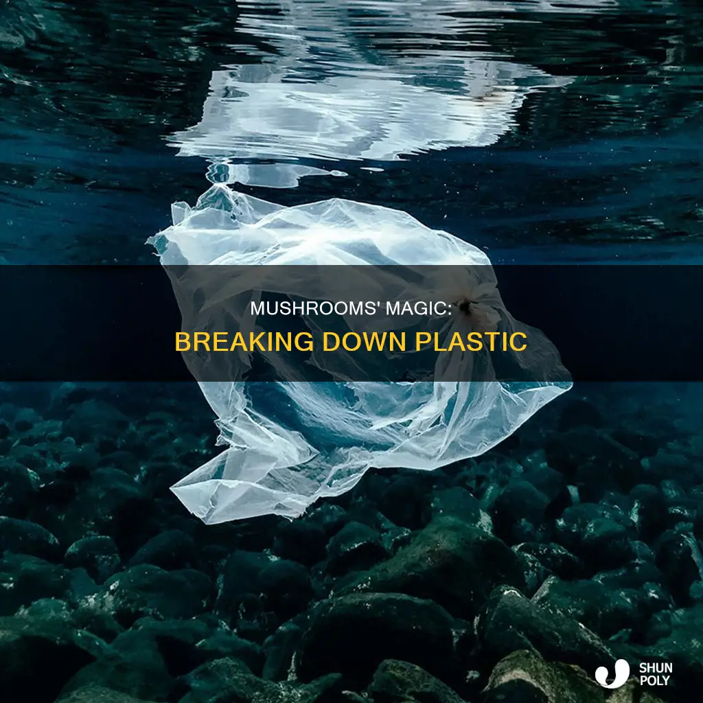 how do mushrooms break dow plastic