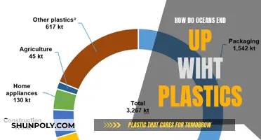 The Plastic Crisis: Oceans in Peril