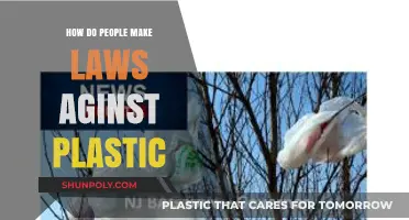 Crafting Plastic Bans: The Process Behind Anti-Plastic Legislation