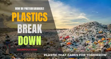 Sunlight's Role in Breaking Down Photodegradable Plastics