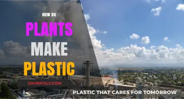 From Plants to Plastic: Unveiling Nature's Surprising Manufacturing Process
