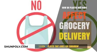 Plastic Bag Bans: Impact on Grocery Delivery Services and Sustainability