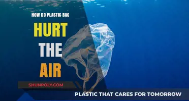 Plastic Bags' Toxic Impact: Polluting Air and Harming Ecosystems
