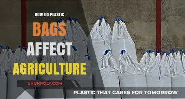 Plastic Bags in Agriculture: Impact on Soil, Crops, and Ecosystems