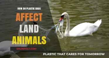 Plastic Bags' Deadly Impact: How Land Animals Suffer and Struggle