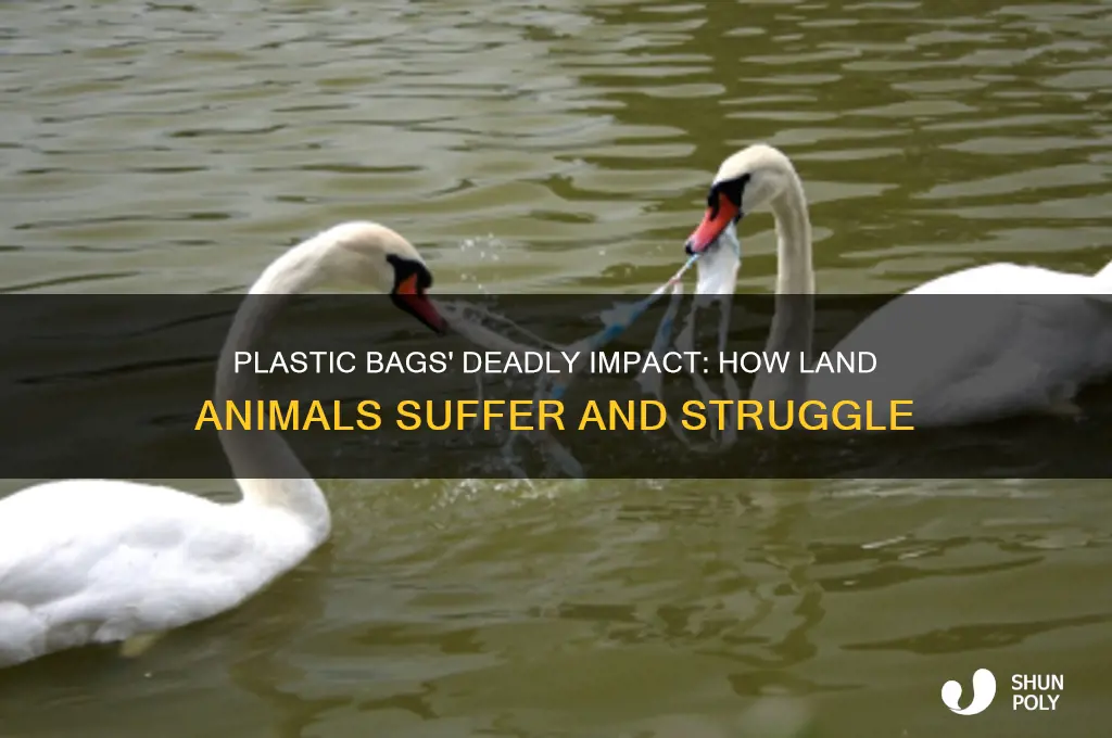 how do plastic bags affect land animals