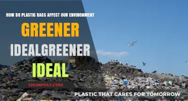Plastic Bags' Environmental Impact: Harmful Effects and Greener Alternatives