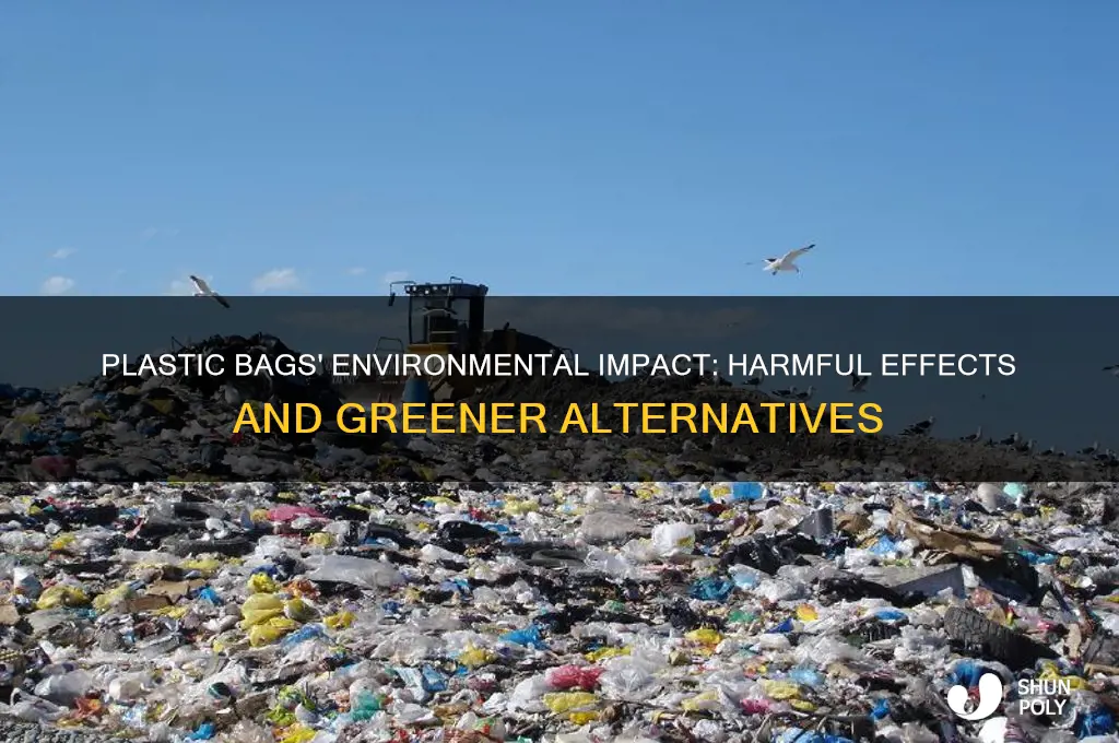 how do plastic bags affect our environment greener idealgreener ideal
