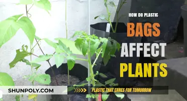 Plastic Bags and Plants: Uncovering the Hidden Environmental Impact