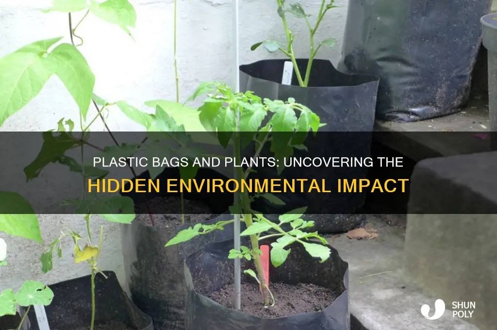 how do plastic bags affect plants