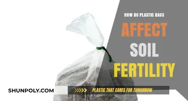 Plastic Bags' Impact on Soil Fertility: A Growing Concern