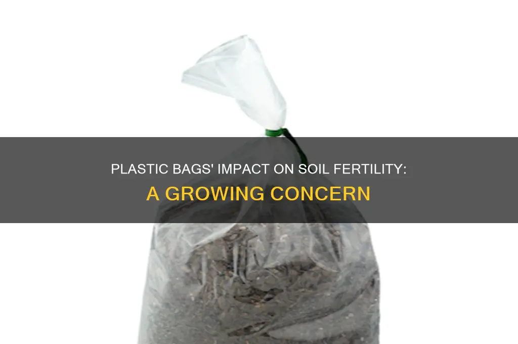 how do plastic bags affect soil fertility