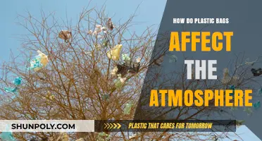 Plastic Bags' Atmospheric Impact: Pollution, Climate Change, and Environmental Consequences