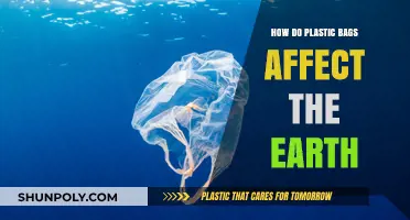 Plastic Bags' Devastating Impact on Our Planet: A Global Crisis