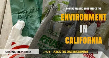 Plastic Bags' Environmental Impact: California's Struggle and Solutions