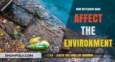 Plastic Bags: Environmental Impact and Our Future
