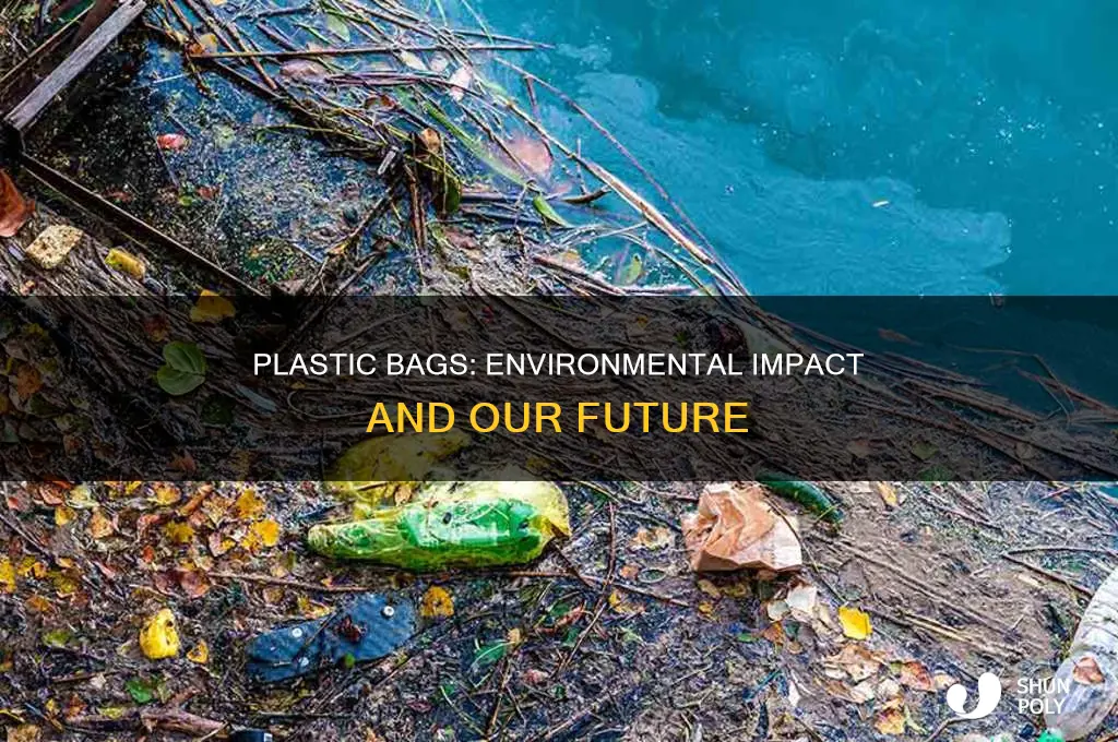 how do plastic bags affect the environment