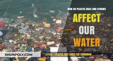 Plastic Bags and Straws: Their Devastating Impact on Our Waterways