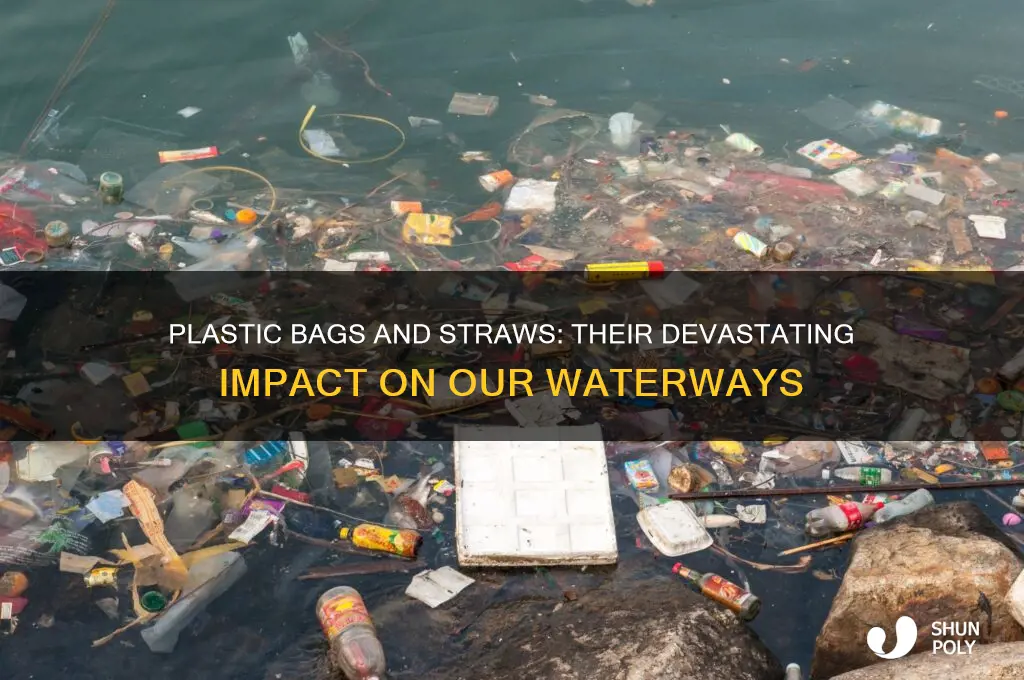 how do plastic bags and straws affect our water