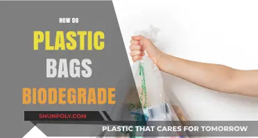 Unraveling the Mystery: How Plastic Bags Biodegrade Over Time
