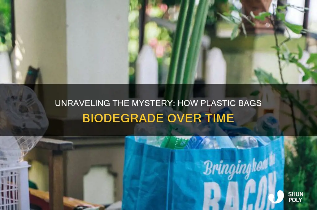 how do plastic bags biodegrade