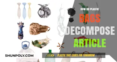 Plastic Bags Decomposition: Understanding the Environmental Impact and Process