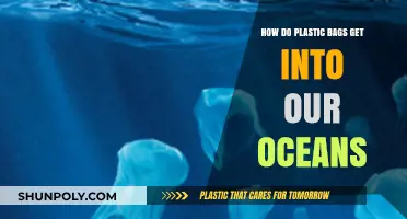 How Plastic Bags End Up in Our Oceans: A Detailed Journey