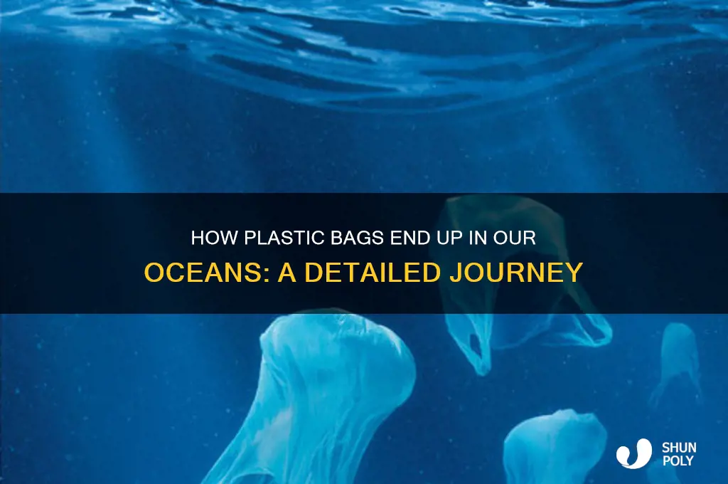 how do plastic bags get into our oceans
