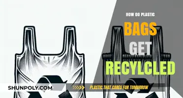 Recycling Plastic Bags: A Step-by-Step Process to Sustainable Reuse