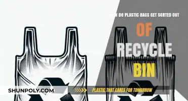 Sorting Plastic Bags: The Recycling Process Explained in Simple Steps