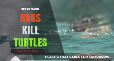 Plastic Bags: Silent Killers of Marine Turtles and Their Ecosystems