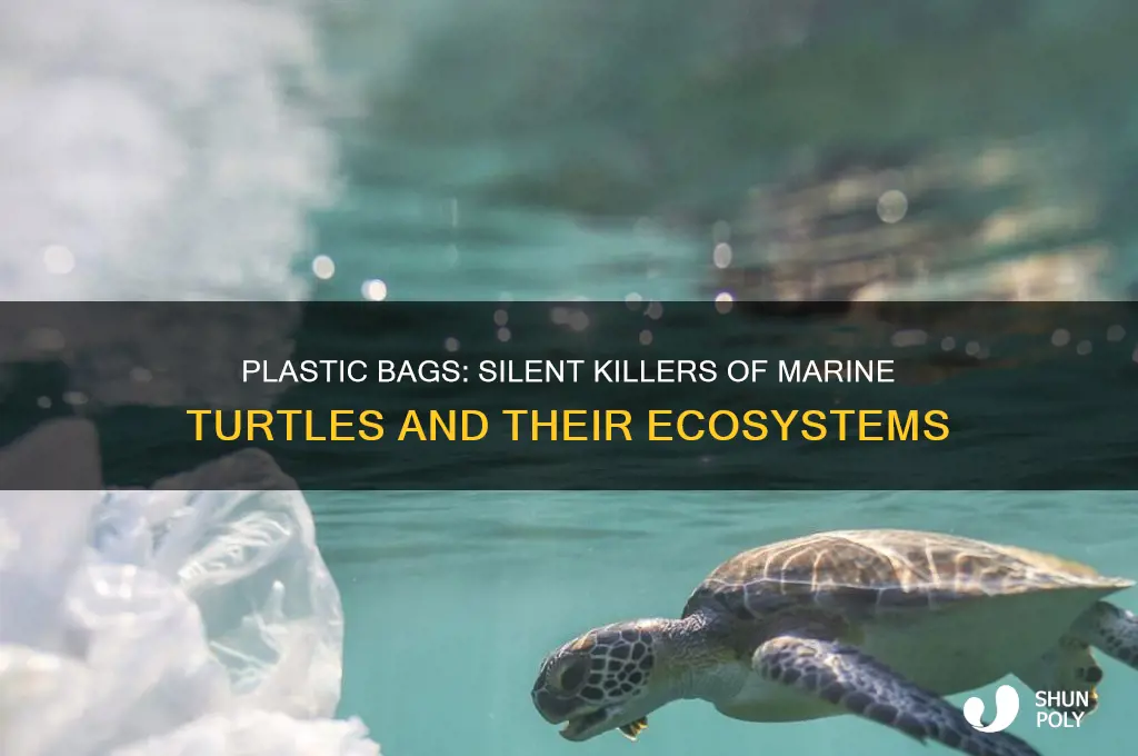how do plastic bags kill turtles