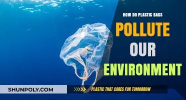 Plastic Bags' Environmental Impact: Pollution, Wildlife Threats, and Solutions