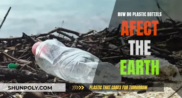 Plastic Bottles: Harming Our Planet, What Can We Do?