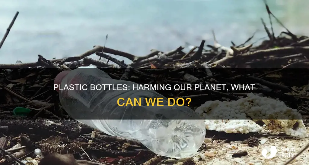 how do plastic bottels afect the earth