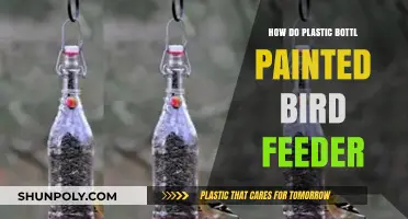 DIY Painted Plastic Bottle Bird Feeder: Creative Upcycling for Birds