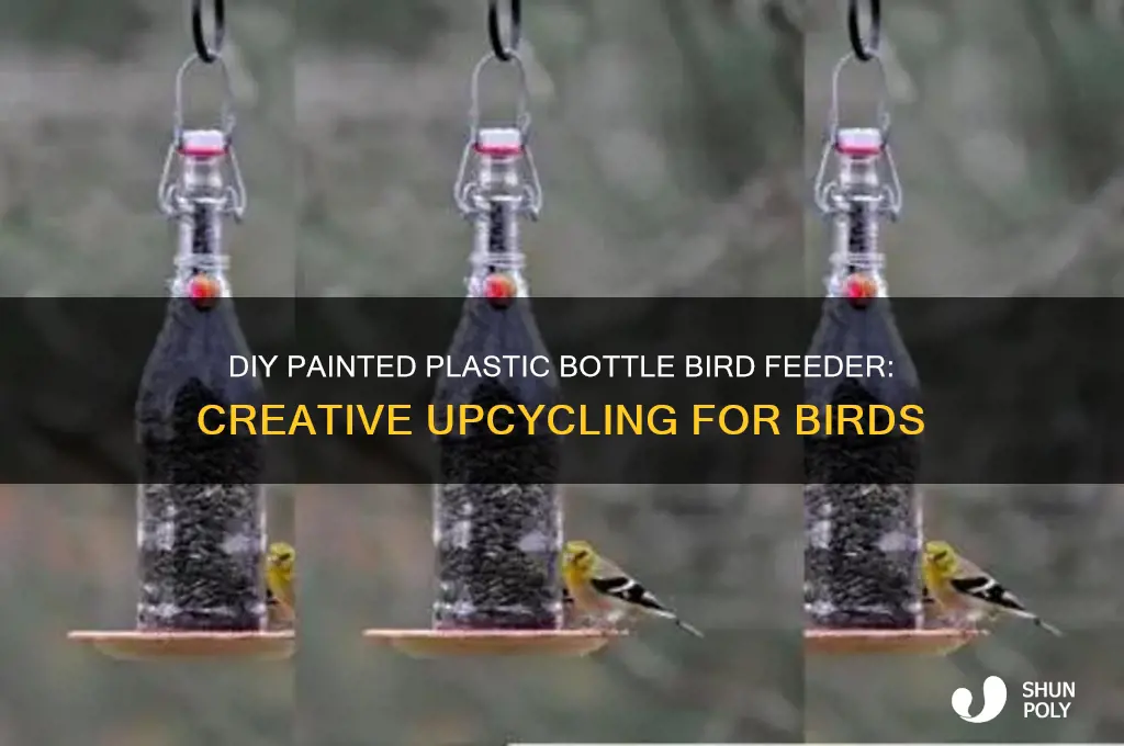 how do plastic bottl painted bird feeder